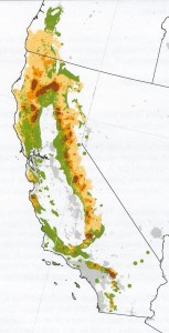 areas of California in which oaks are at risk to GSOB