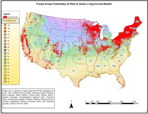 Areas at risk to ALB; USGS. 2014. Digital representations of tree species range maps from “Atlas of United States Trees” by Elbert L. Little Jr. (and other publications).